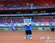 包含窗口期德甲传出新动向，武汉三镇迎来里程碑，管理层表态：底气十足，临场指挥获称赞的词条